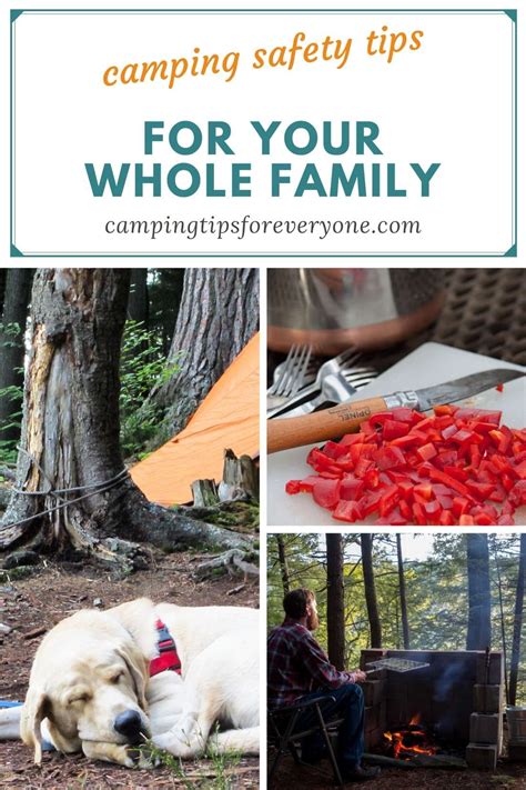 Camping safety tips for everyone. Preventing and treating camping ...