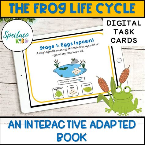 The Frog Life Cycle- Interactive adapted book for special education – Spectacokids: Speech & ABA ...