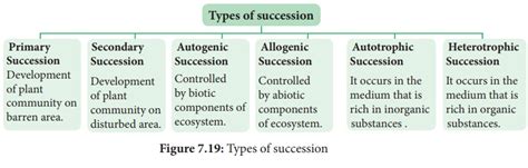 Plant Succession - Causes, Characteristics, Types, Process ...