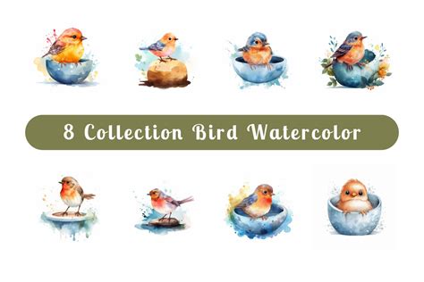 watercolor cute bird collection vol. 12 | Deeezy