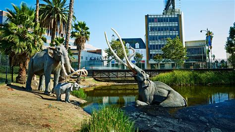 La Brea Tar Pits: Fossils site in Los Angeles to get a makeover