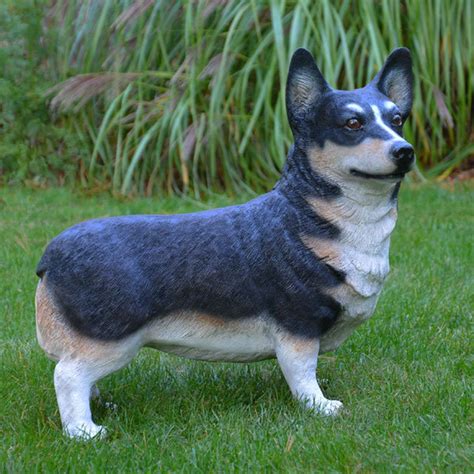 Corgi statue outdoor as lawn sculptures. Life-like Tri-Color | Etsy