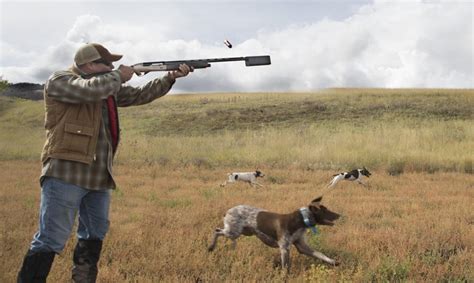 Three persons detained for illegal hunting in Shabran