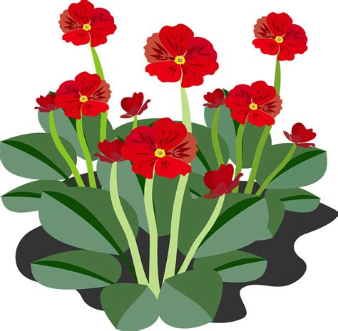 Foresight Clipart Flowers