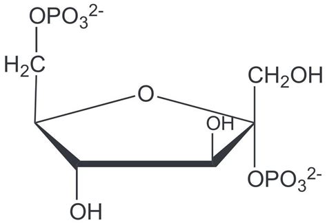 Fructose 2,6 bisphosphate - Alchetron, the free social encyclopedia