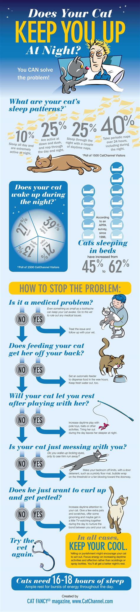 Cat Sleep Habits - iNFOGRAPHiCs MANiA