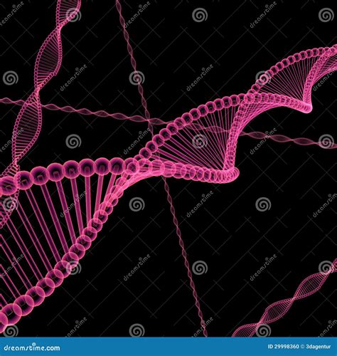 DNA strand stock illustration. Illustration of life, microbiology - 29998360