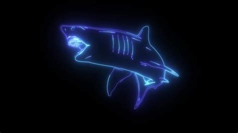 46 Cartoon Shark Black White Stock Video Footage - 4K and HD Video Clips | Shutterstock