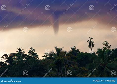 Formation of a Tornado on Sea in Tropics Against Background of Jungle Stock Image - Image of ...