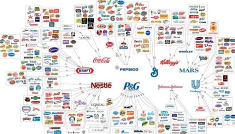 The top 10 companies in the FMCG sector - Tips to take care of your money every day