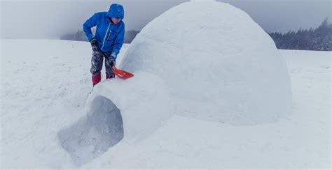 You can build an igloo and spend a night in it with this Vancouver ...