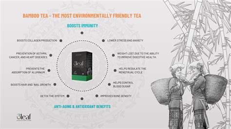 The Health Benefits of Bamboo Tea – bamboo-ark.com