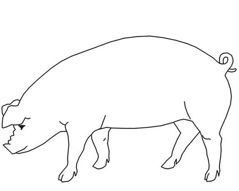 Pig Outline Drawing at GetDrawings | Free download