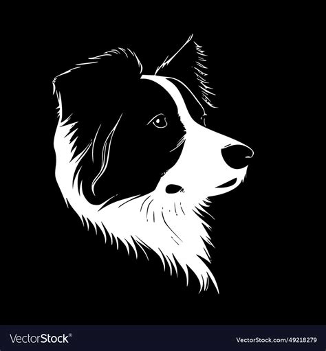 Border collie - high quality logo - ideal for Vector Image