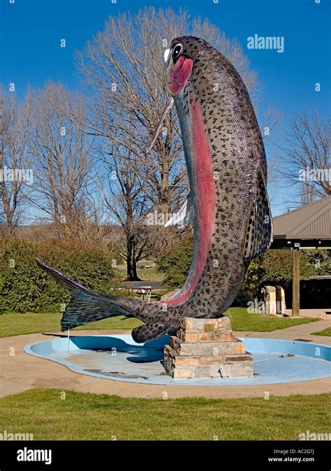 Big Trout sculpture, Adaminaby, Snowy Mountains, New South Wales, Australia Stock Photo - Alamy