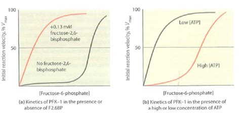 Solved: Regulation of Phosphofructokinase-1. Shown in Figure ar... | Chegg.com