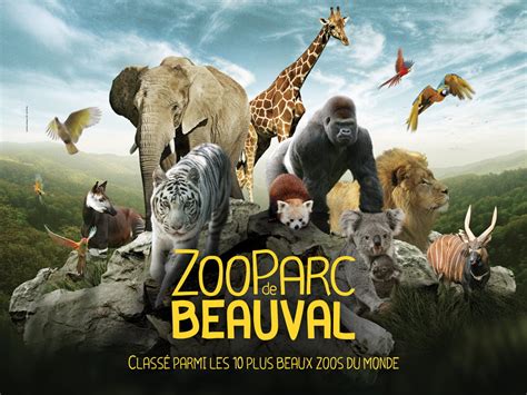 ZooParc de Beauval – Elegant Transfers