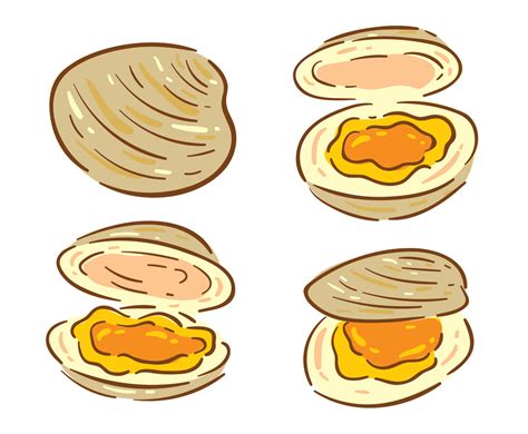 Clam Vector at Vectorified.com | Collection of Clam Vector free for personal use