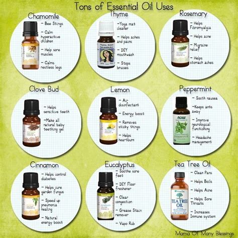 Essential Oils - Basic Usage and Benefits (Guide) - Third Monk