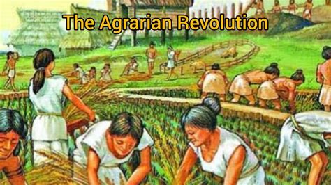 The Agrarian Revolution Essay explained and summary - YouTube