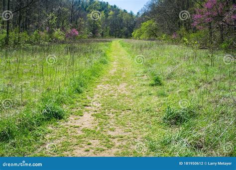 Hiking Trail through a Mountain Meadow Stock Photo - Image of appalachia, hiking: 181950612