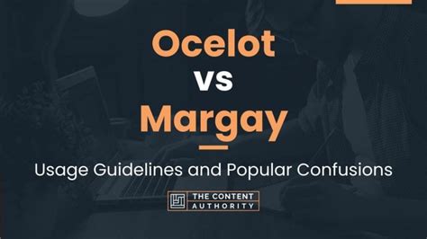 Ocelot vs Margay: Usage Guidelines and Popular Confusions