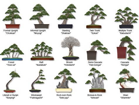 Bonsai styles