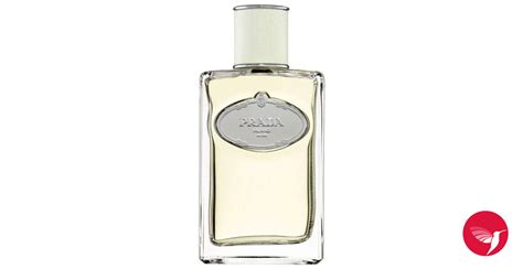 Infusion d'Iris Prada perfume - a fragrance for women 2007