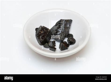 Guaiac wood resin (Guaiacum officinale Stock Photo - Alamy