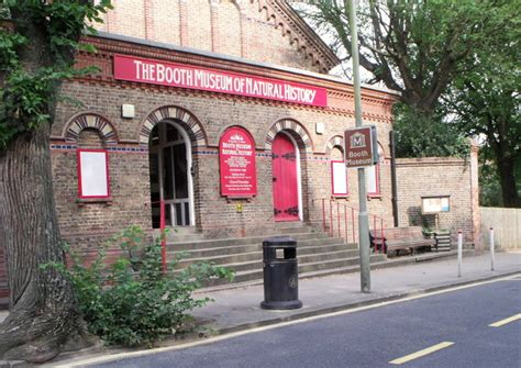 The Booth Museum of Natural History,... © nick macneill cc-by-sa/2.0 :: Geograph Britain and Ireland