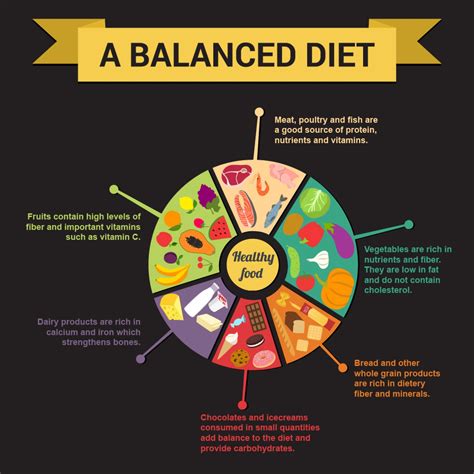 The Key to Proper Nutrition: A Balanced Diet - Infographic