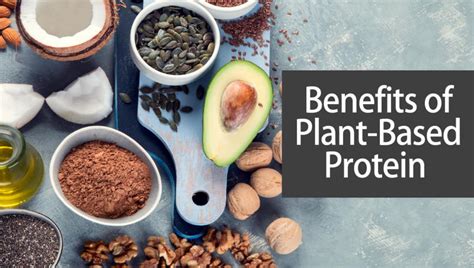 Benefits of Plant-Based Protein