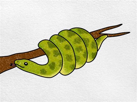 How to Draw an Anaconda - HelloArtsy