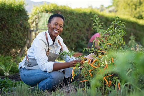 Support programme enabling KZN small-scale farmers to potential commercial farmers