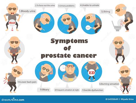 Symptoms Prostate Cancer Stock Vector - Image: 64350649