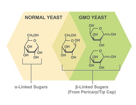 Gen 1.5 Corn Fiber Processing and High-Value Product Diversification - ICM Inc