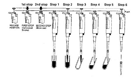 Micropipette | Introduction | Types And Usage Guide