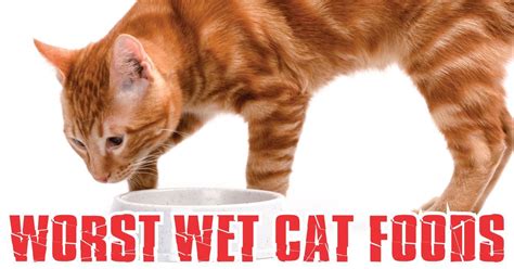 Top 10 Worst Wet Cat Food Brands for 2017 | Cat food brands, Cat food ...