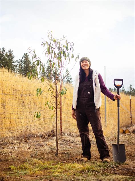 Why It’s Better to Plant Trees in Fall (Here’s How) – Garden Betty