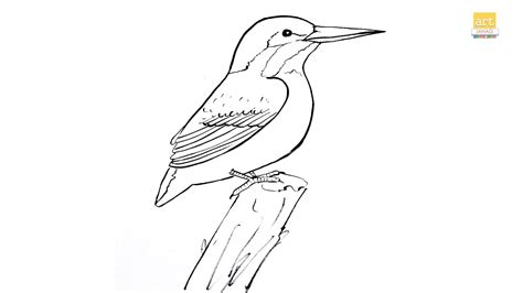 How to draw A Kingfisher II Kingfisher drawing step by step II part 01 ...