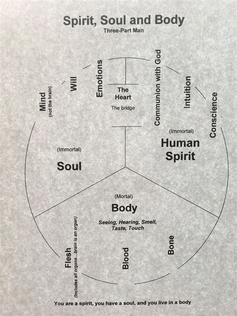 ...distinguishing the difference between spirit, soul, and body / Single Articles / Believers ...