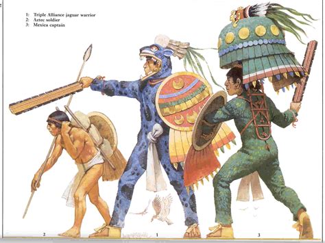 Aztec Organisation - Weapons and Warfare