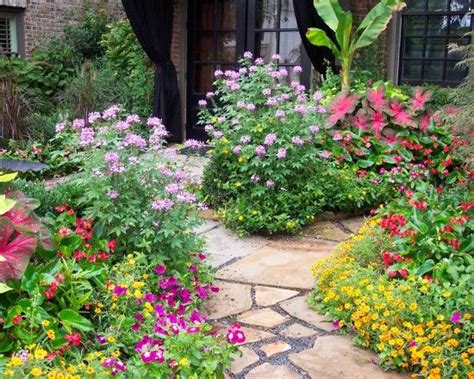 Texas Native Plants Design Ideas, Pictures, Remodel and Decor | Texas landscaping, South texas ...