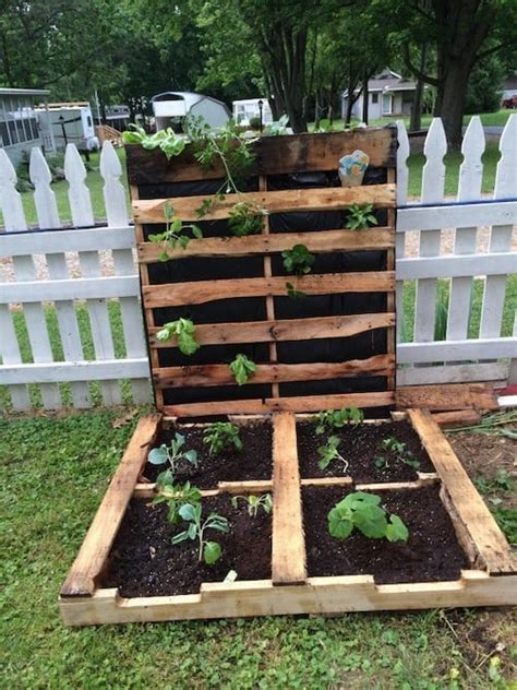 Vegetable Garden Ideas With Pallets | Fasci Garden