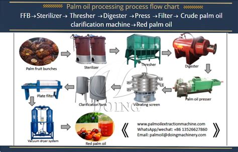 What are the machines used for palm oil processing?_Palm Oil Extraction FAQ