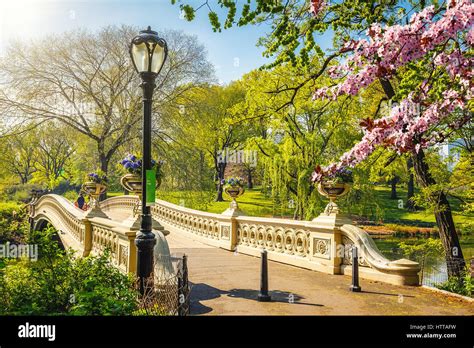 Bow bridge in Central park at spring sunny day, New York City Stock ...