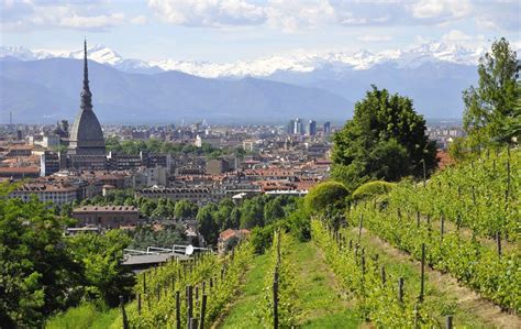 L’antica “Vigna della Regina” di Torino dove nasce l’unico vino urbano ...