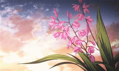 Flowers Anime GIF - Flowers Anime Aesthetic - Discover & Share GIFs