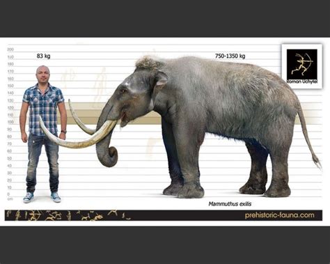 a man standing next to an elephant with long tusks