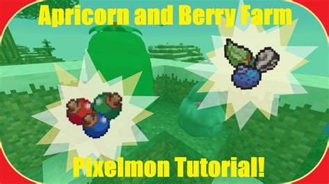 How to Make an APRICORN and BERRY Farm in Pixelmon! (Changed in 9.0) - YouTube